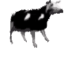 polish_cow emoji